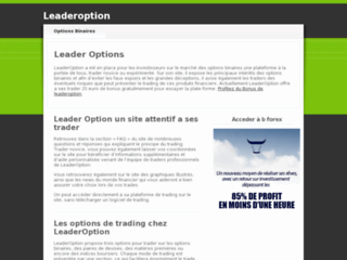 https://www.leaderoption.com/