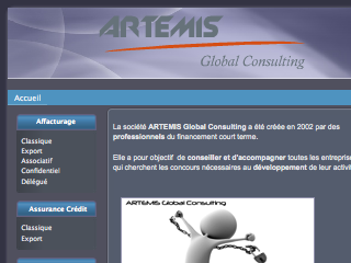 Artemis Global Consulting